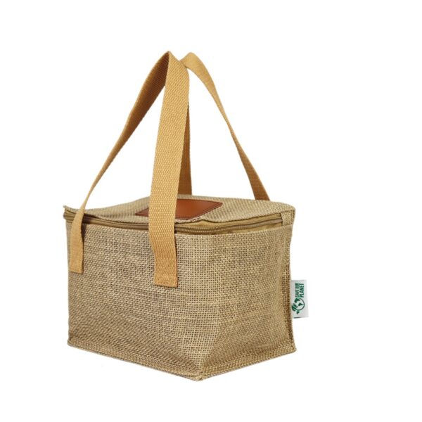 Cooler Bag 4 Litros para Picnic, Camping o Playa